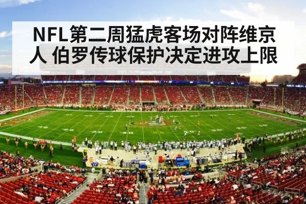 american football stadium crowd